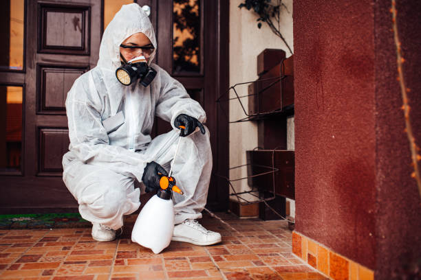 Attic and Crawl Space Rodent Treatment in Lake Camelot