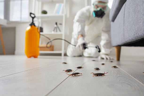 Commercial Rodent Management in Lake Camelot